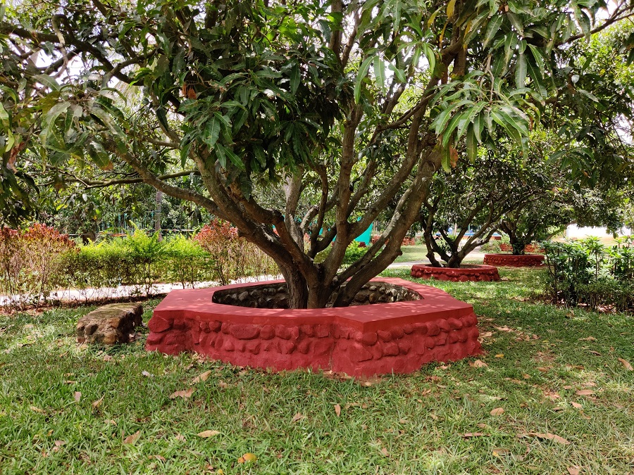 The Gari Resorts Mango Tree