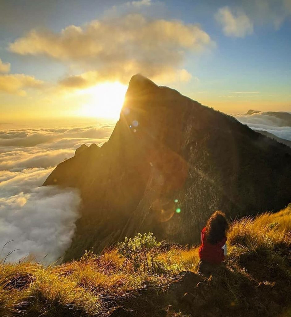Five best places to visit during winter in South India. Five best places to visit during winter in South India.