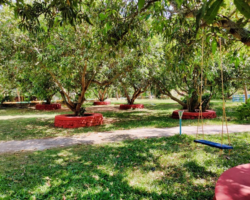 Nature at Gari