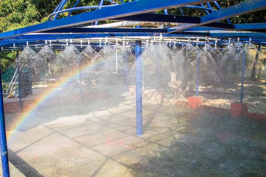 Rain Dance Resorts in Bangalore