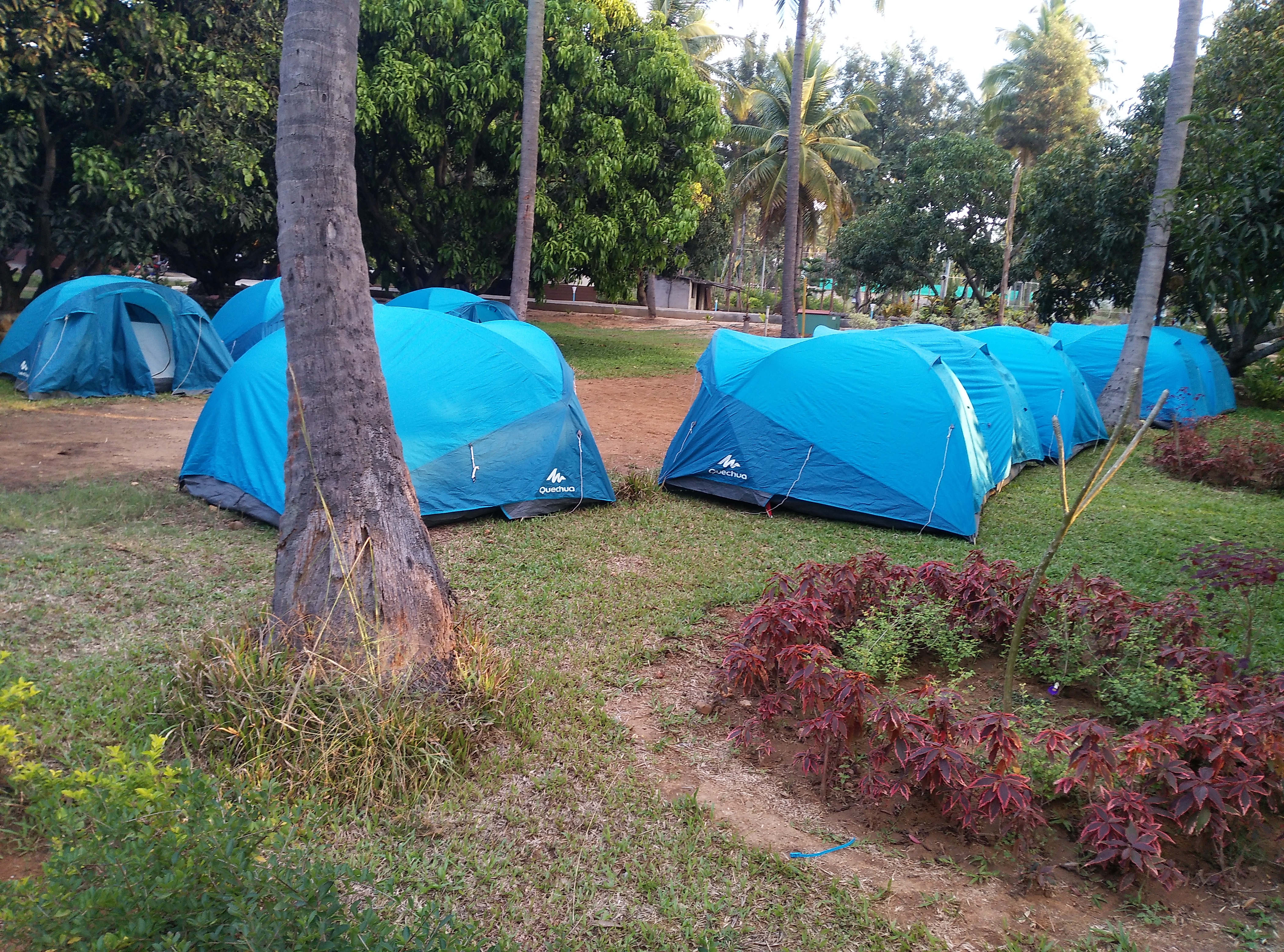Camping