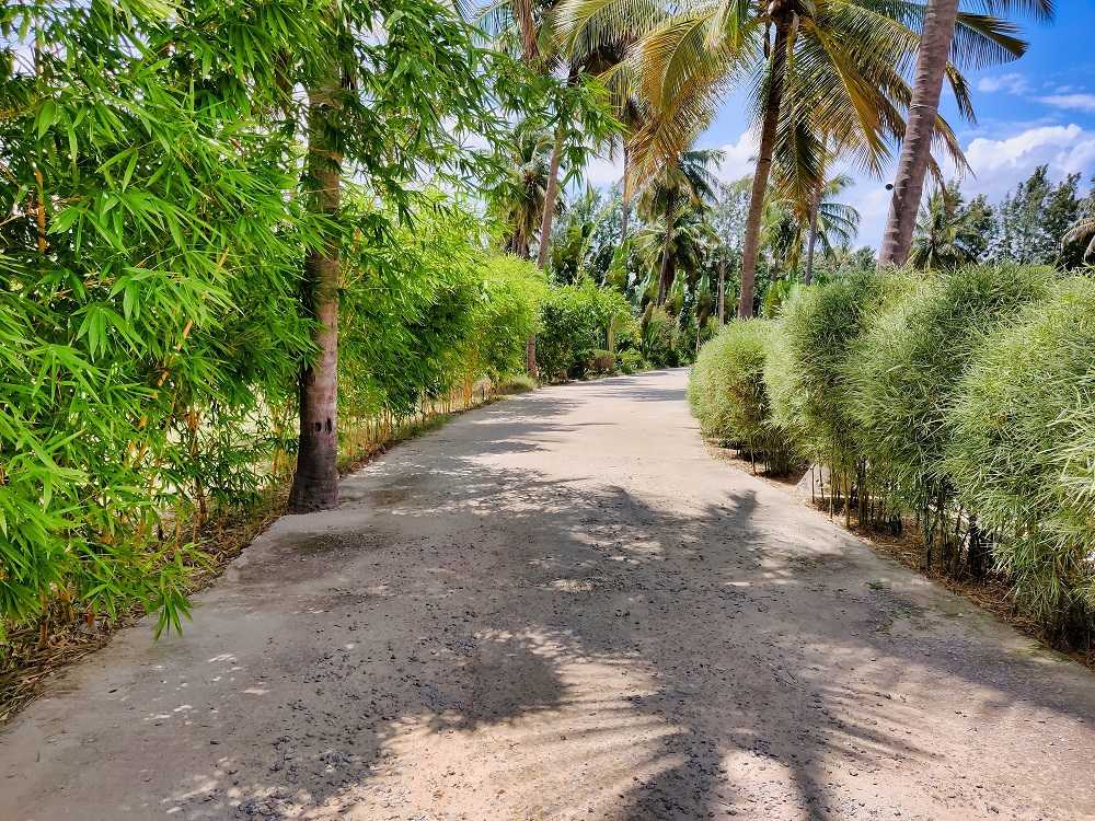 The Gari Resorts Walkway