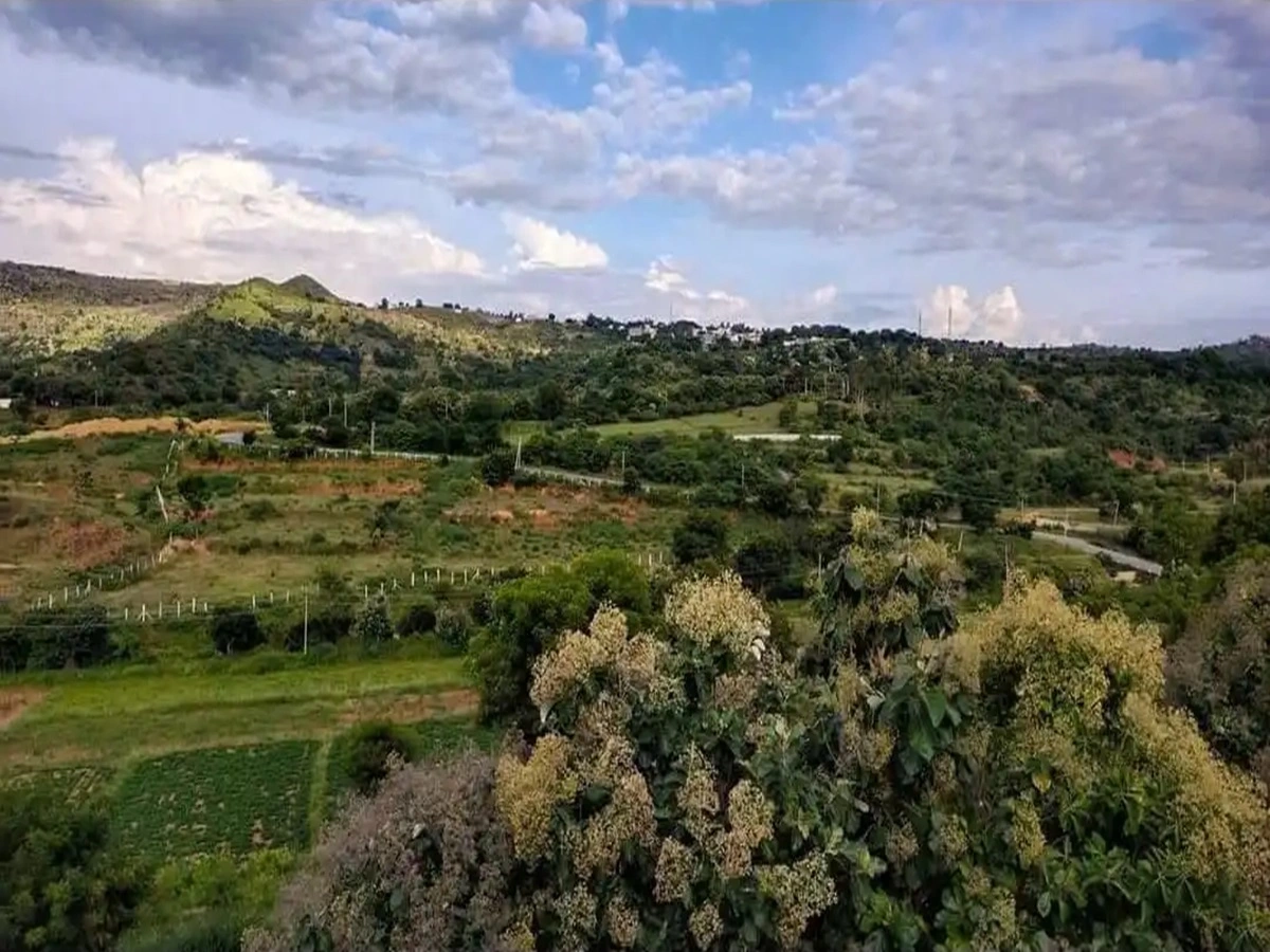 The Gari Doddaballapura View